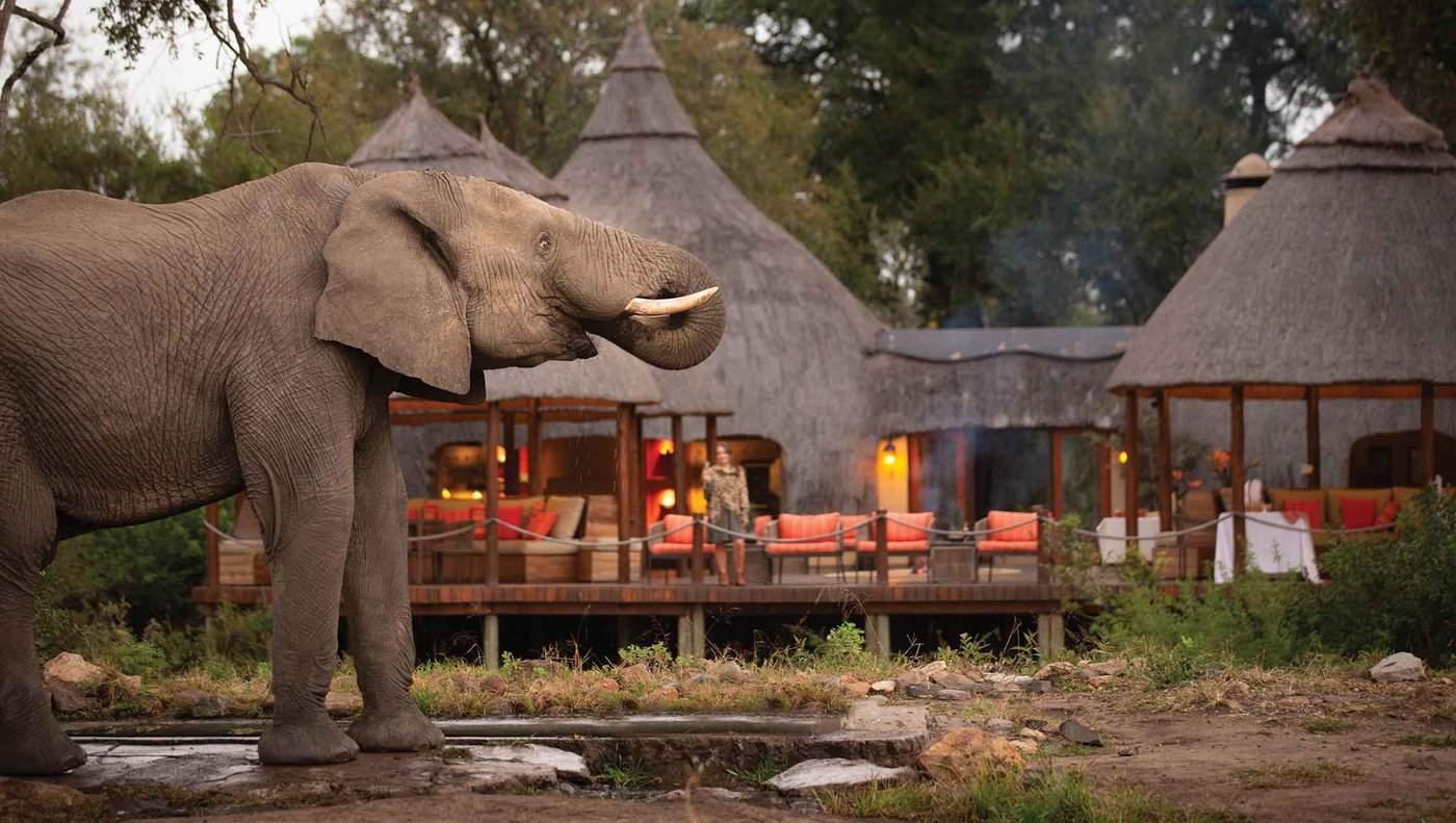 Elephant passing the thatched rondavels of Hoyo Hoyo Safari Lodge in Kruger