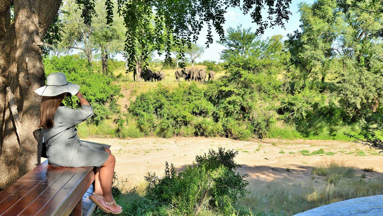 Guest watching elephants cross the riverbed below Imbali Safari Lodge