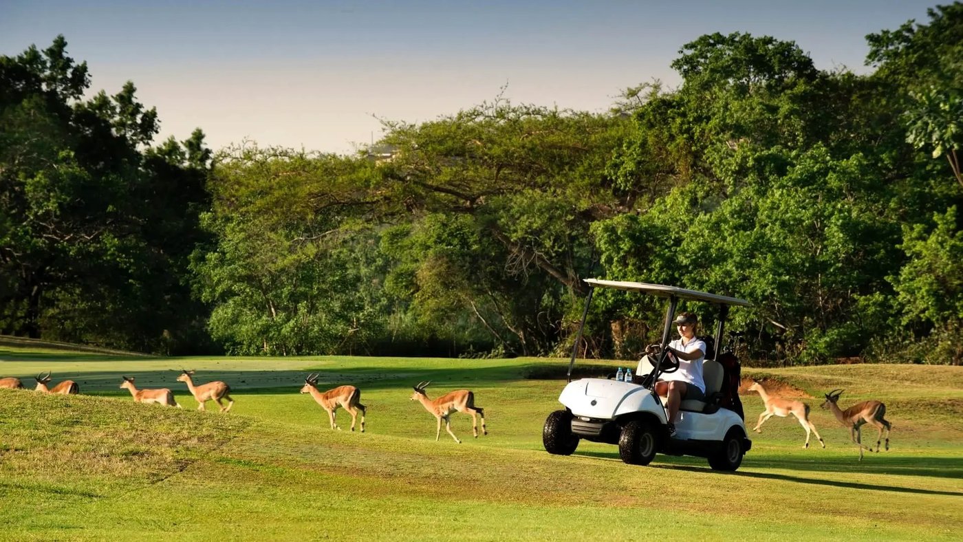 Golf cart passing impala on the fairway at Kruger Park Lodge