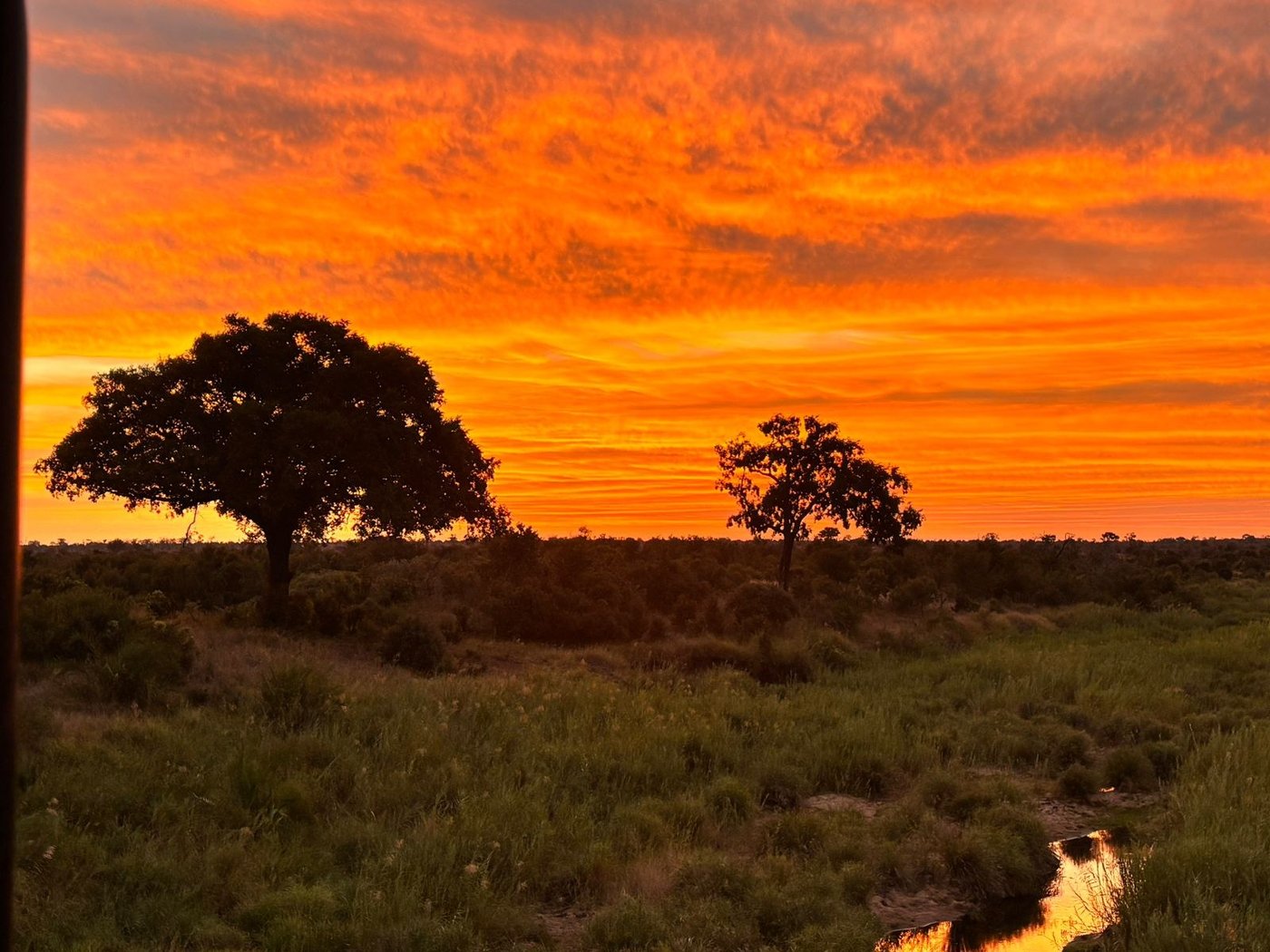 Fiery sunset over the open plains near Kruger Untamed Satara Plains Camp