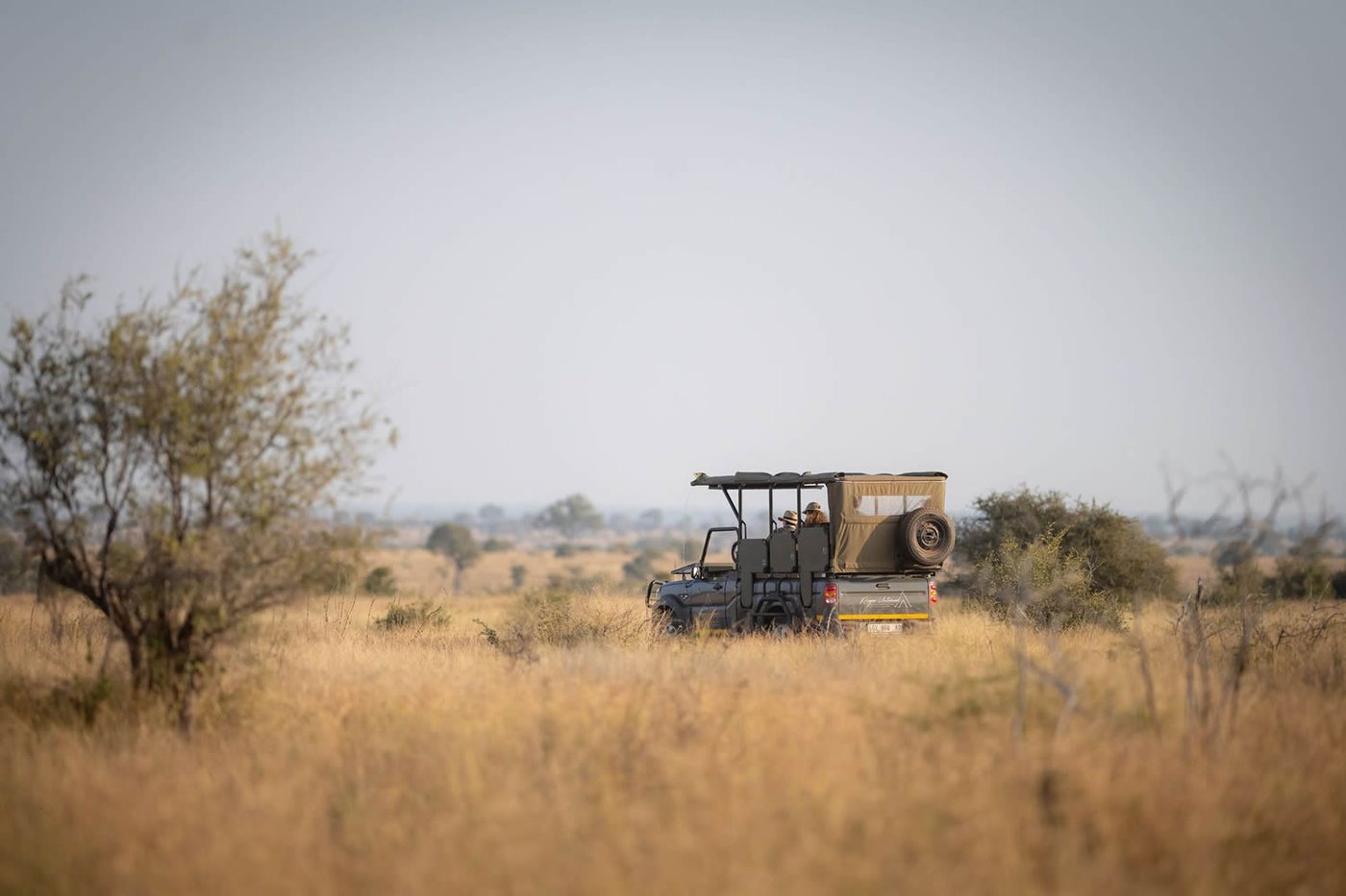 Open safari vehicle crossing the grassland near Kruger Untamed Satara Plains Camp