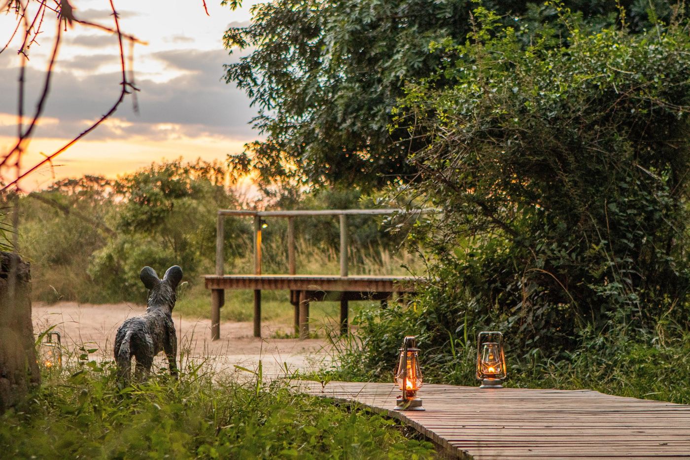 Lantern-lit boardwalk winding past a wild dog sculpture at Lion Sands Narina Lodge