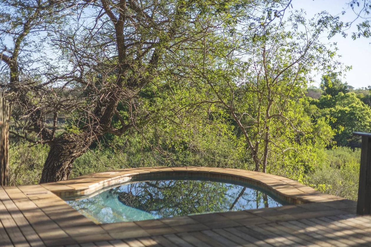 Small plunge pool tucked into the riverine bush at Lion Sands Tinga Lodge