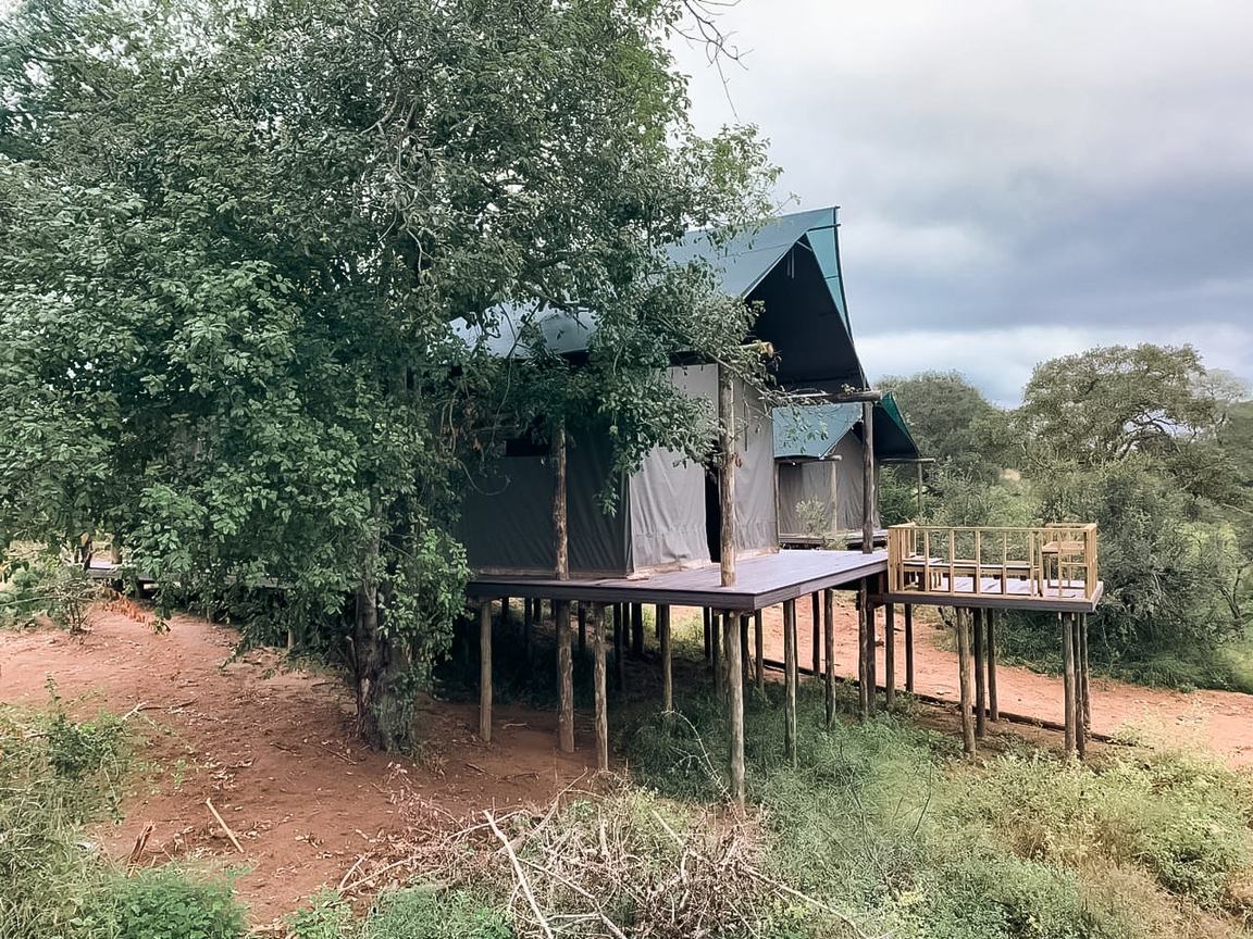 Nkuhlu Tented Camp raised safari tent among riverine trees in Kruger