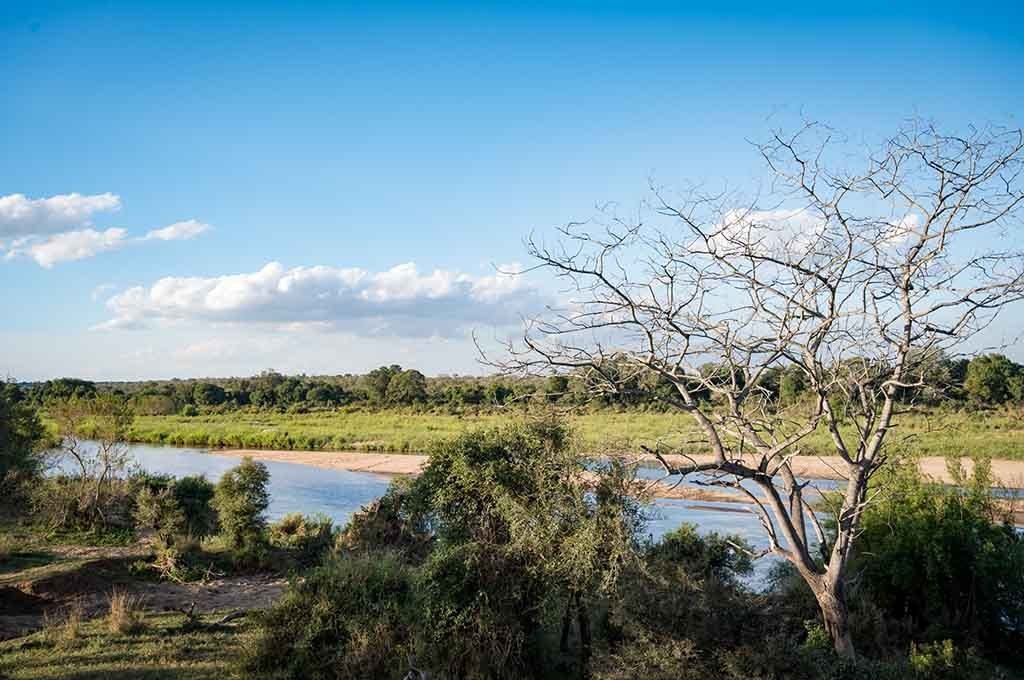 River bend lined with fever trees near Nkuhlu Tented Camp
