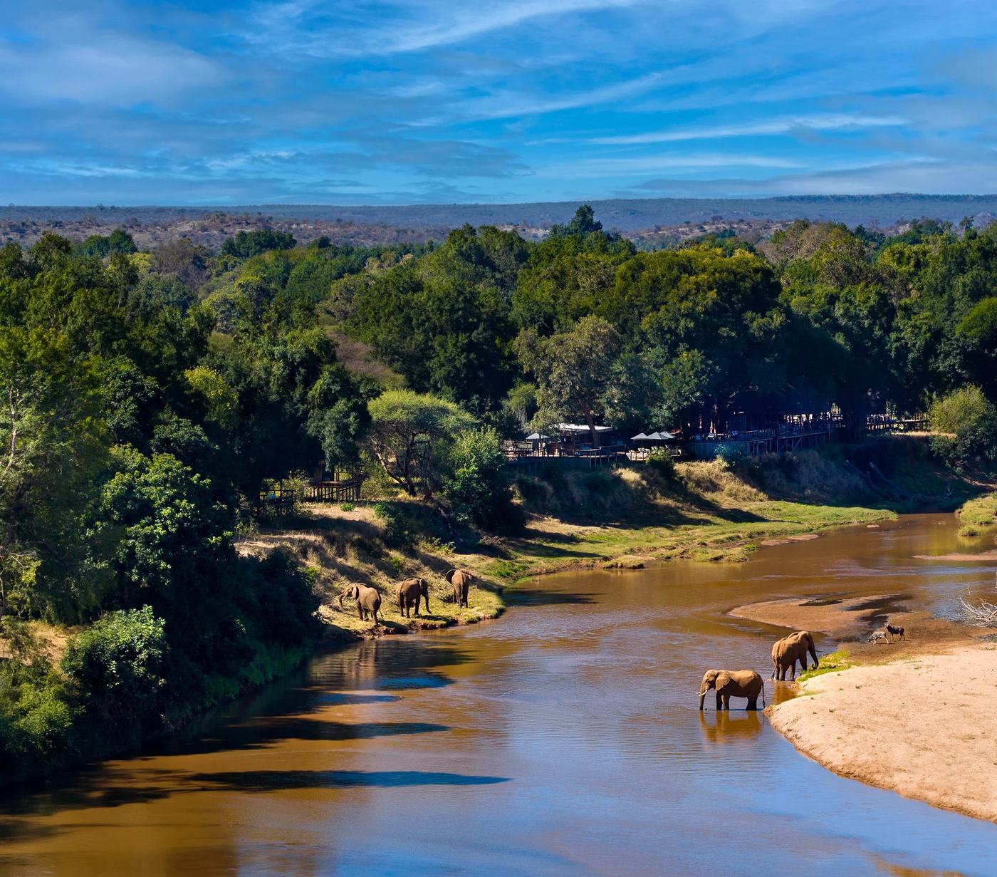 Elephants crossing a sandy riverbed near Pafuri Camp