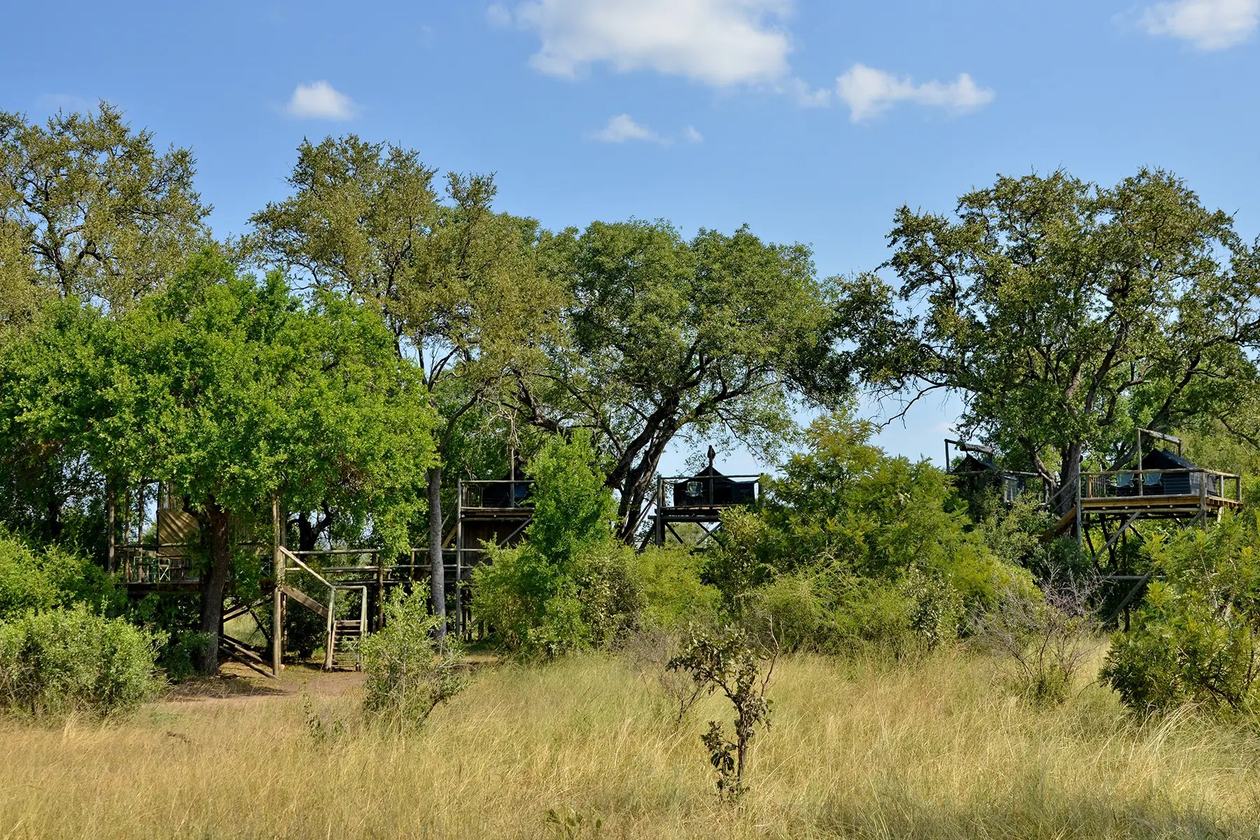 Elevated tented suites raised among the trees at Plains Camp