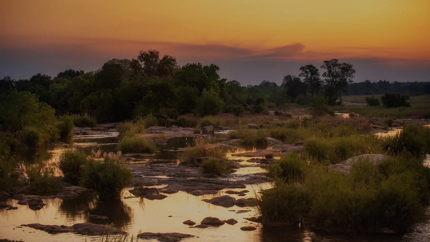 Dry sandy riverbed winding through the bush at sunset near Plains Camp