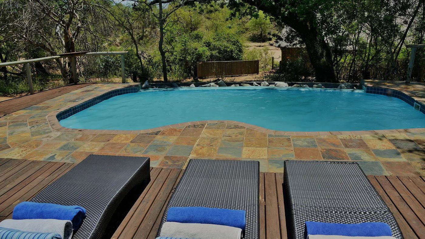 Pool deck with loungers shaded by trees at this Seolo Africa lodge in Kruger