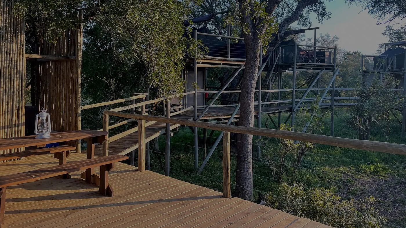 Raised wooden boardwalk leading to an elevated hide at this Seolo Africa lodge in Kruger